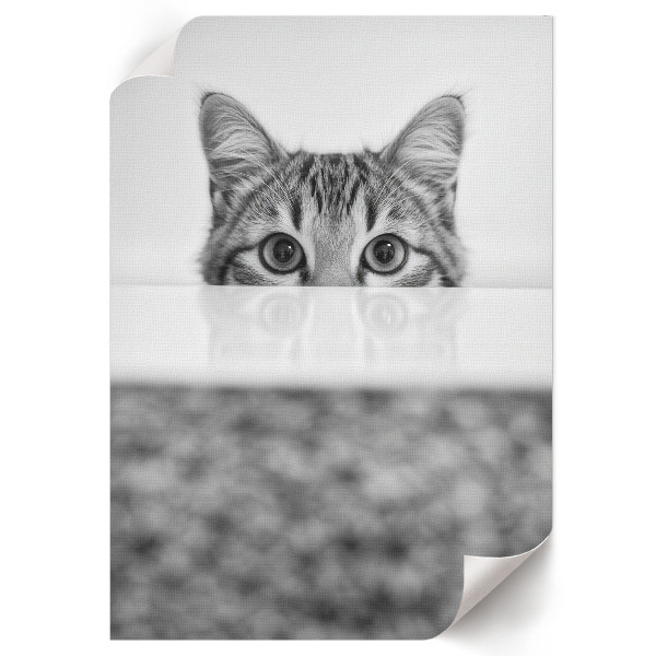 Decorative poster featuring a cat portrait