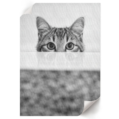 Decorative poster Cat portrait