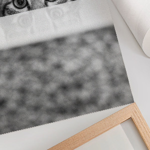 Decorative poster featuring a cat portrait