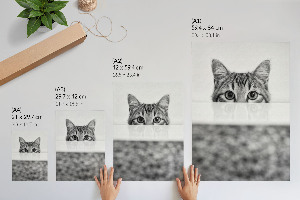 Decorative poster featuring a cat portrait