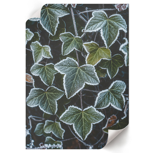 Wall art featuring frosty leaves