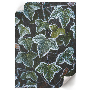 Wall art featuring frosty leaves