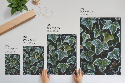 Wall art Frosty leaves