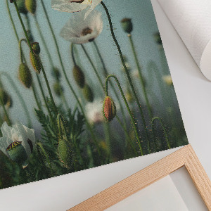 Art print featuring white poppies