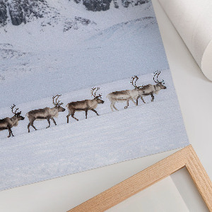 Decorative poster with a reindeer in the mountains