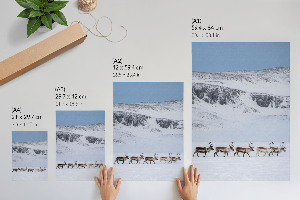 Decorative poster with a reindeer in the mountains