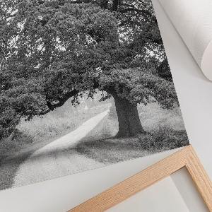 Monumental tree wall art