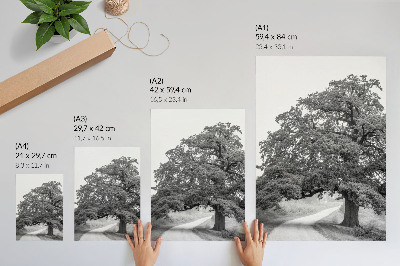 Wall art Monumental tree