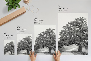 Monumental tree wall art