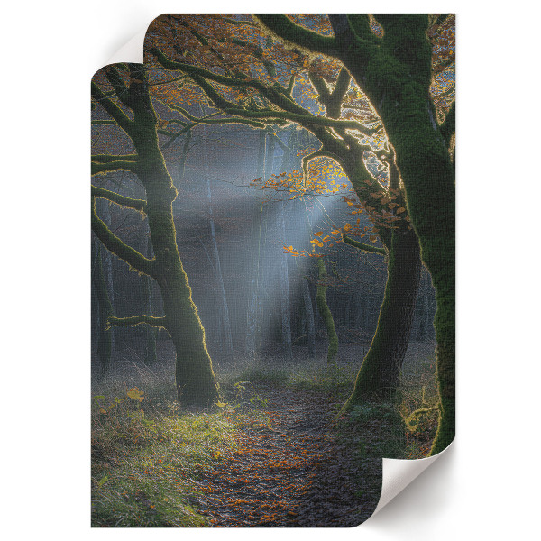 Autumn forest wall print