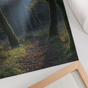 Autumn forest wall print