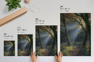 Autumn forest wall print