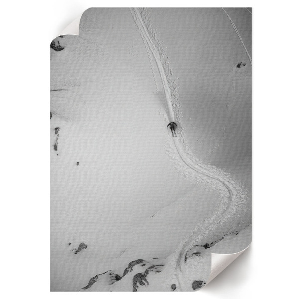 Wall print Skier's ride