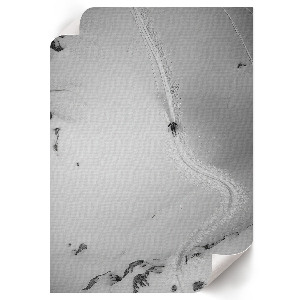 Wall print Skier's ride