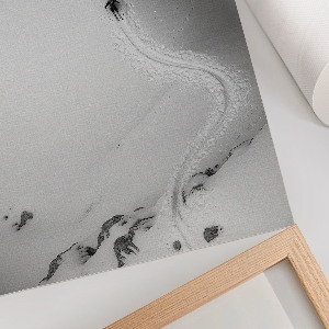 Wall print Skier's ride