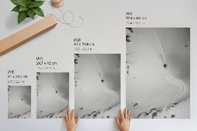 Wall print Skier's ride