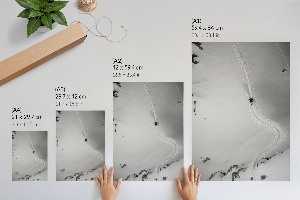 Wall print Skier's ride