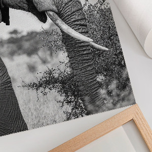 Decorative poster showing an elephant in profile