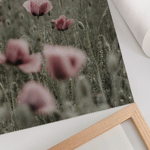 Poster with delicate poppies