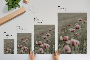 Poster with delicate poppies