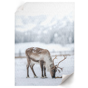 Wall print with a winter reindeer motif