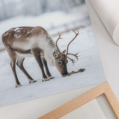 Wall print Winter reindeer