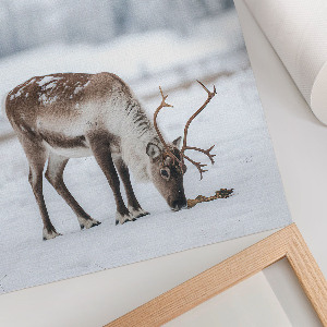 Wall print with a winter reindeer motif