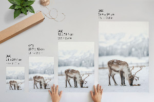 Wall print with a winter reindeer motif