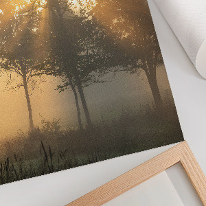 Wall art featuring a forest at dawn