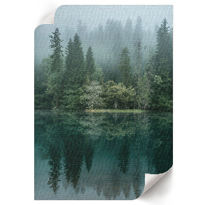 Decorative poster Foggy Lake