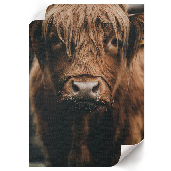 Wall print featuring a portrait of an animal