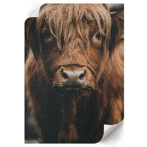 Wall print featuring a portrait of an animal