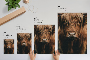 Wall print featuring a portrait of an animal