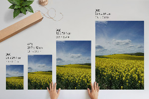 Art print of rapeseed fields