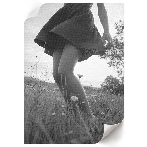 Poster Woman in the meadow