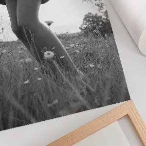Poster of a woman in a meadow