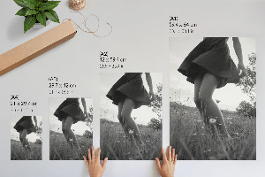 Poster Woman in the meadow