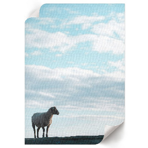 Wall art An idyllic view