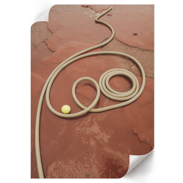 Poster showing a rope lying on the ground