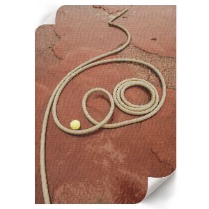 Poster showing a rope lying on the ground