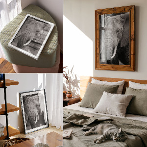 Wall print depicting an elephant portrait