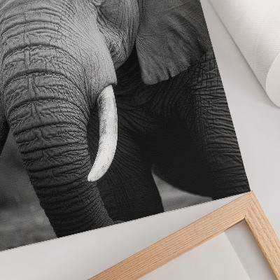 Wall print Elephant portrait
