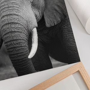 Wall print depicting an elephant portrait
