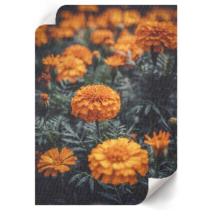 Wall art featuring a summer garden scene