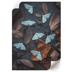 Art print showing white moths