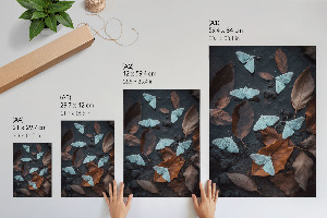 Art print showing white moths
