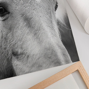 Decorative poster featuring a horse portrait