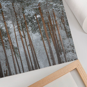 Art print Forest winter