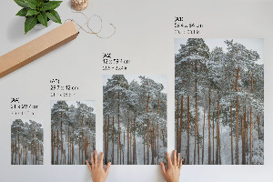 Art print Forest winter