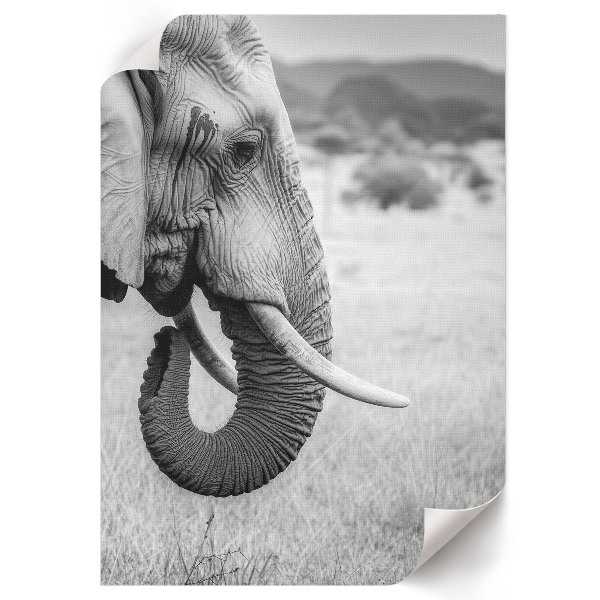 Decorative poster featuring an African elephant